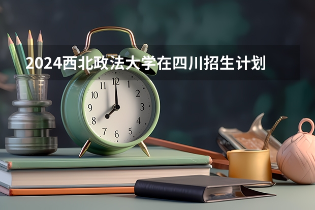 2024西北政法大学在四川招生计划多少人
