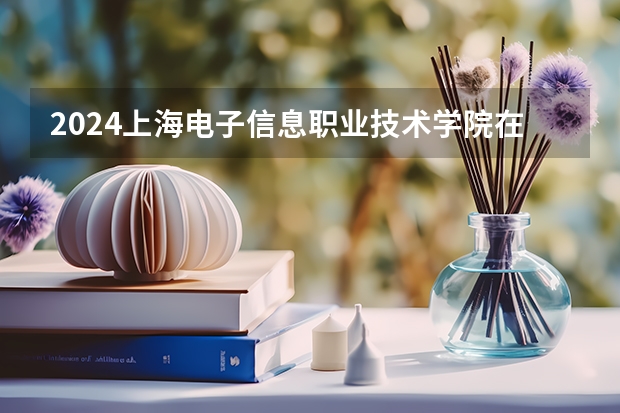 2024上海电子信息职业技术学院在江西招生计划多少人