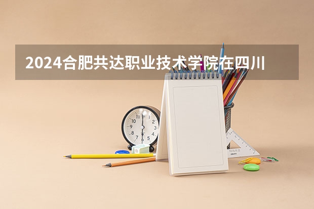 2024合肥共达职业技术学院在四川招生计划多少人