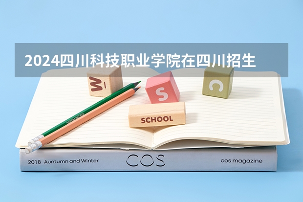 2024四川科技职业学院在四川招生计划多少人