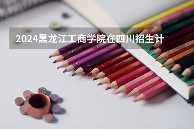 2024黑龙江工商学院在四川招生计划多少人
