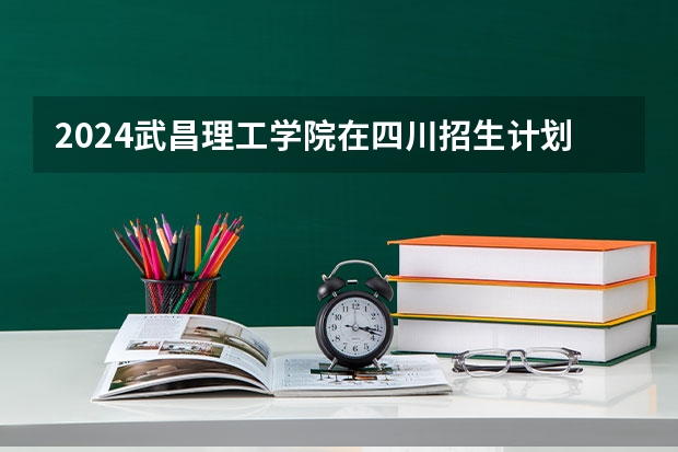 2024武昌理工学院在四川招生计划多少人
