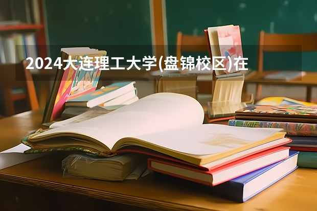 2024大连理工大学(盘锦校区)在四川招生计划多少人
