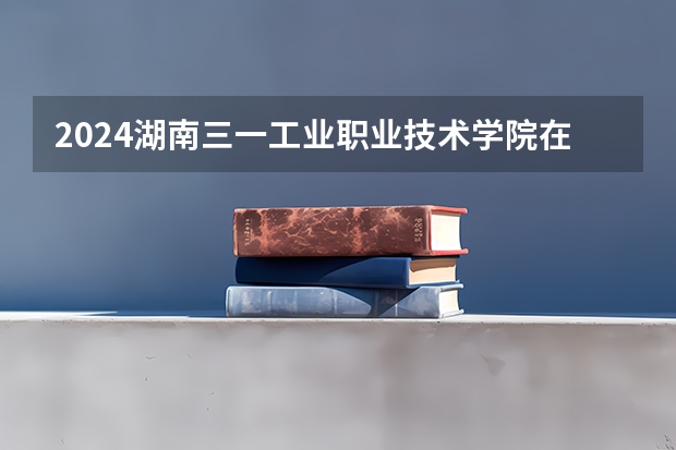 2024湖南三一工业职业技术学院在四川招生计划多少人
