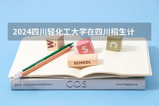 2024四川轻化工大学在四川招生计划多少人