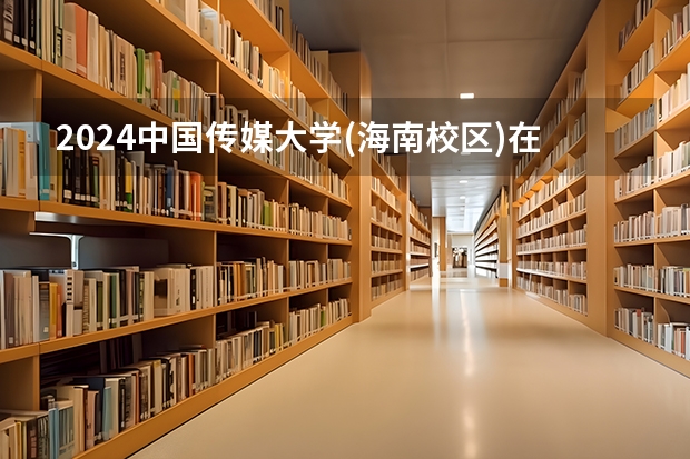 2024中国传媒大学(海南校区)在四川招生计划多少人
