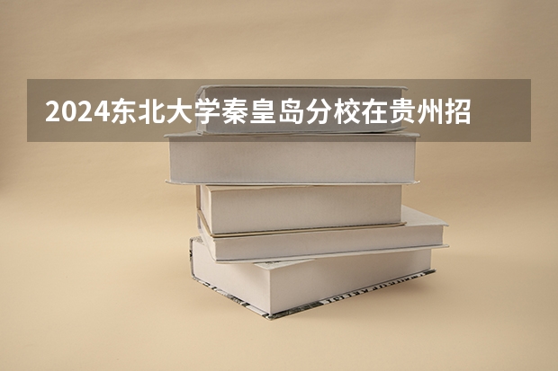 2024东北大学秦皇岛分校在贵州招生计划多少人