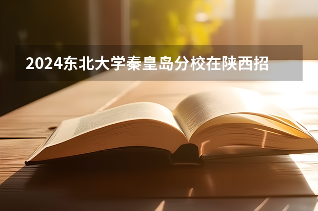 2024东北大学秦皇岛分校在陕西招生计划多少人