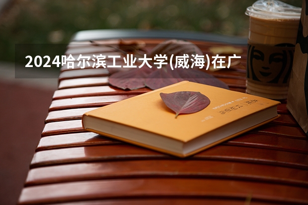 2024哈尔滨工业大学(威海)在广东招生计划多少人