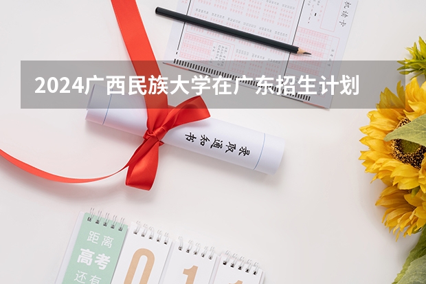 2024广西民族大学在广东招生计划多少人
