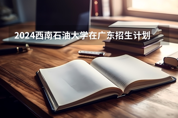 2024西南石油大学在广东招生计划多少人