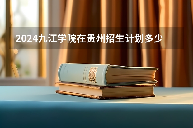 2024九江学院在贵州招生计划多少人