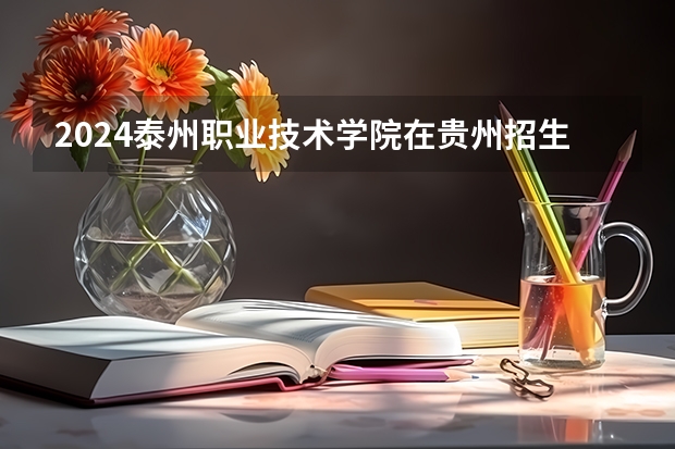 2024泰州职业技术学院在贵州招生计划多少人