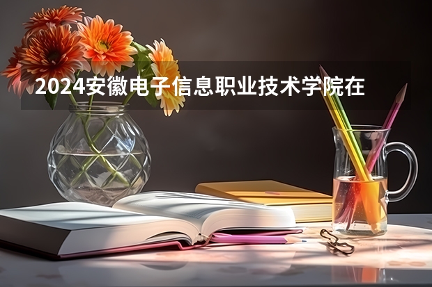 2024安徽电子信息职业技术学院在广西招生计划多少人