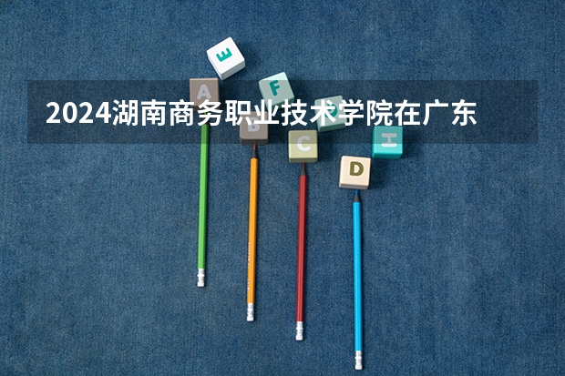 2024湖南商务职业技术学院在广东招生计划多少人