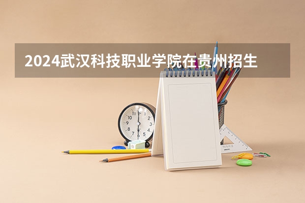 2024武汉科技职业学院在贵州招生计划多少人