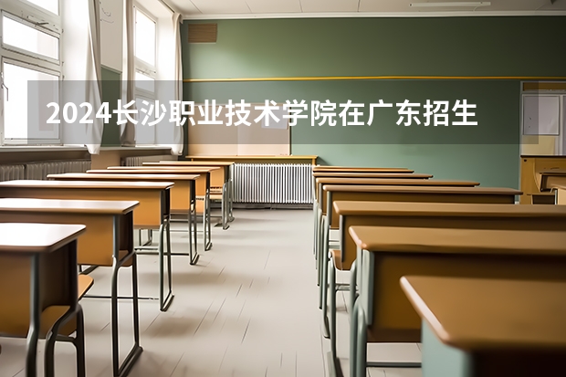 2024长沙职业技术学院在广东招生计划多少人