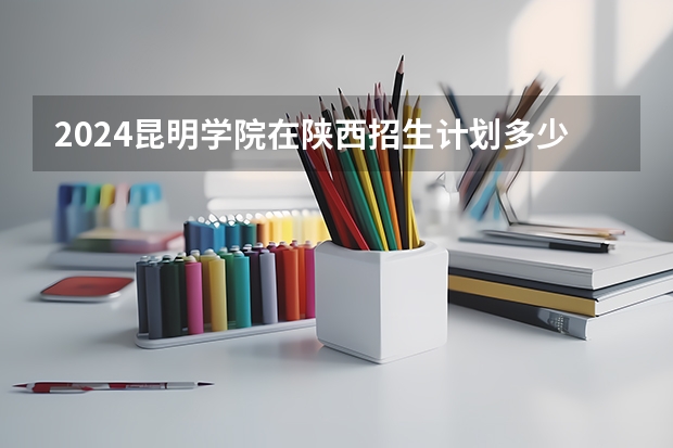 2024昆明学院在陕西招生计划多少人