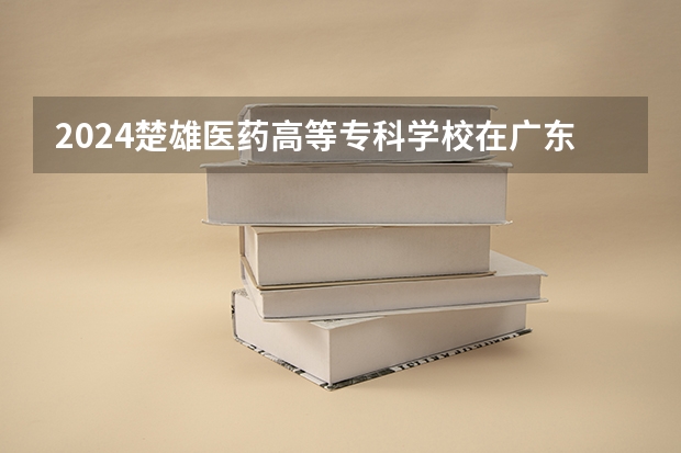 2024楚雄医药高等专科学校在广东招生计划多少人