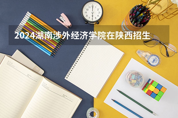 2024湖南涉外经济学院在陕西招生计划多少人