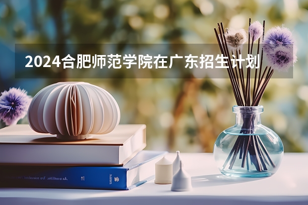 2024合肥师范学院在广东招生计划多少人