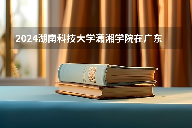 2024湖南科技大学潇湘学院在广东招生计划多少人