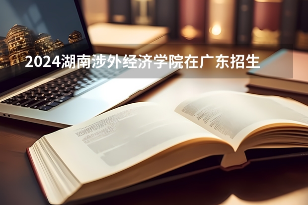 2024湖南涉外经济学院在广东招生计划多少人