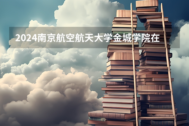 2024南京航空航天大学金城学院在广东招生计划多少人