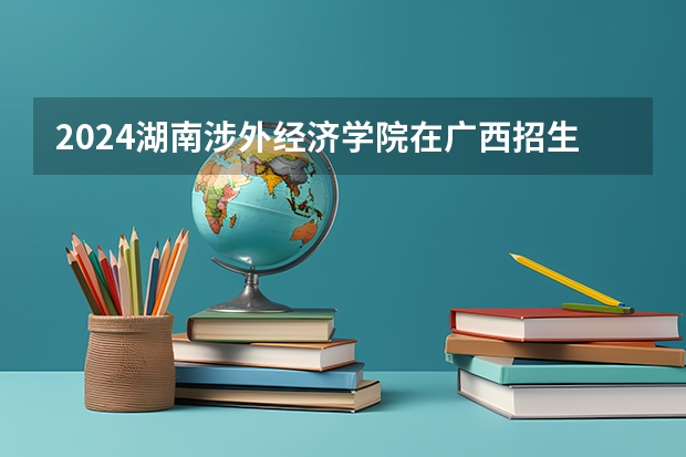 2024湖南涉外经济学院在广西招生计划多少人