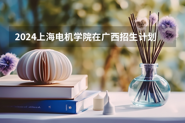 2024上海电机学院在广西招生计划多少人