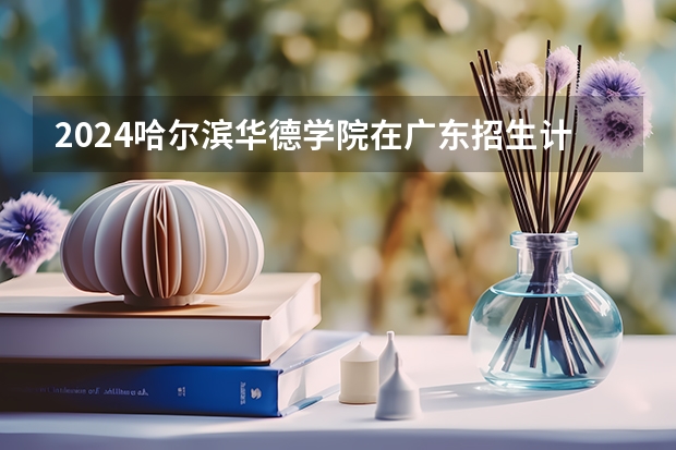 2024哈尔滨华德学院在广东招生计划多少人