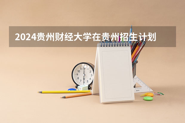 2024贵州财经大学在贵州招生计划多少人