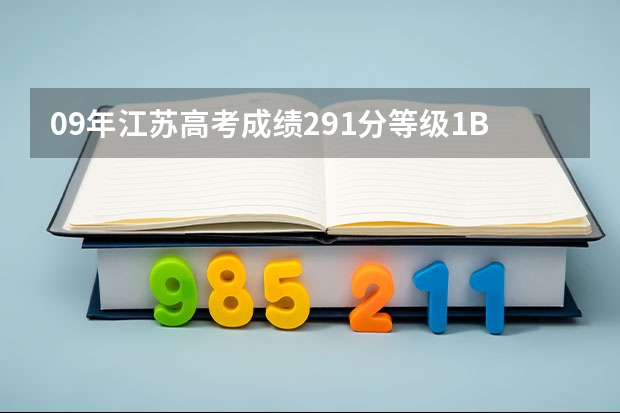 09年江苏高考成绩291分等级1B1B+能上什么专科学校？