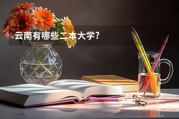 云南有哪些二本大学?