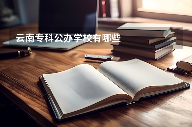 云南专科公办学校有哪些