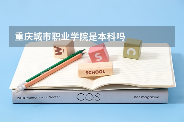 重庆城市职业学院是本科吗