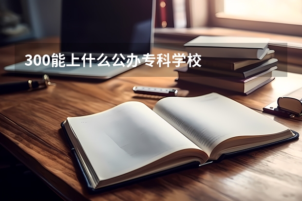 300能上什么公办专科学校