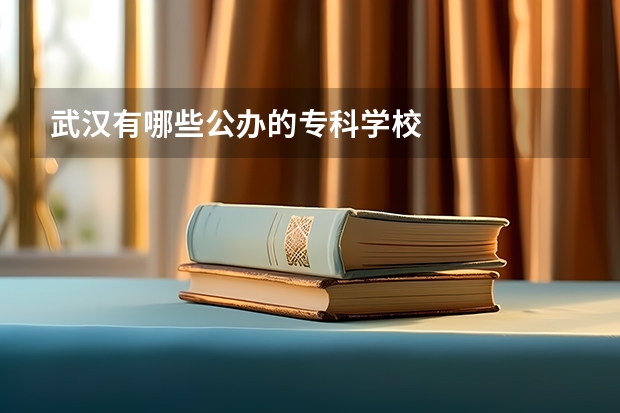 武汉有哪些公办的专科学校