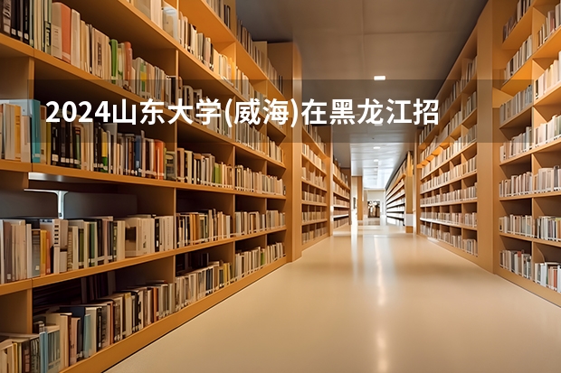 2024山东大学(威海)在黑龙江招生计划多少人