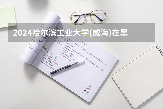 2024哈尔滨工业大学(威海)在黑龙江招生计划多少人