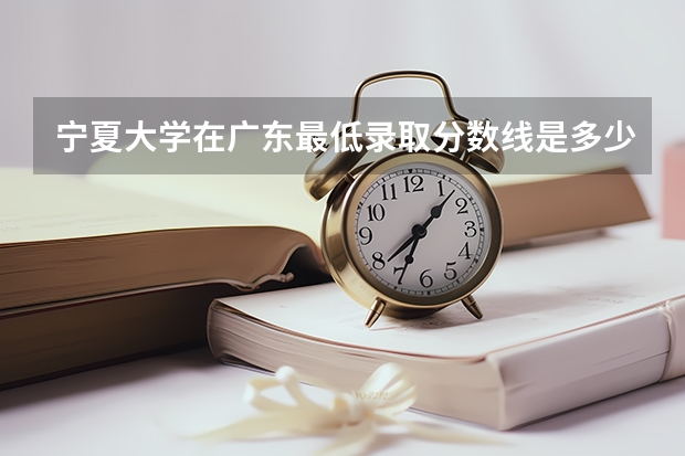 宁夏大学在广东最低录取分数线是多少