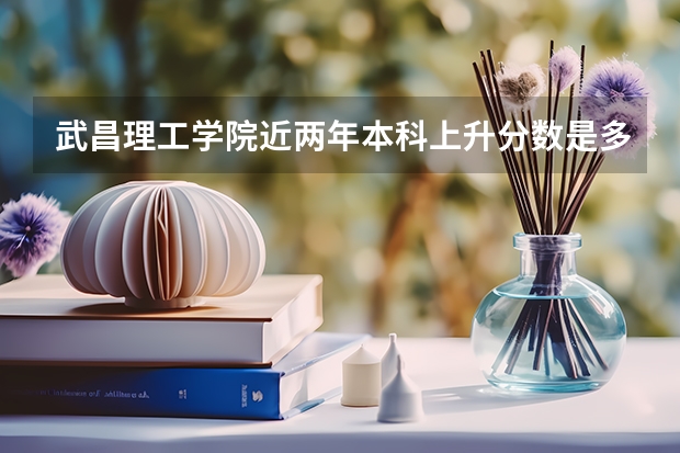 武昌理工学院近两年本科上升分数是多少