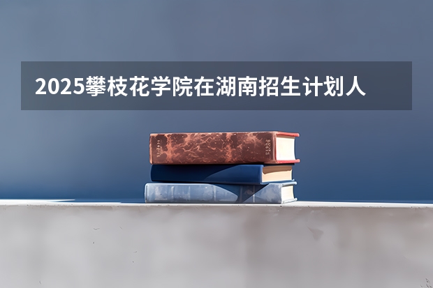 2025攀枝花学院在湖南招生计划人数汇总