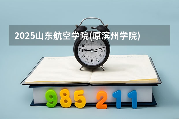 2025山东航空学院(原滨州学院)在山东招生计划人数汇总