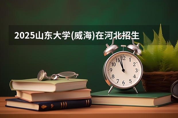 2025山东大学(威海)在河北招生计划人数汇总