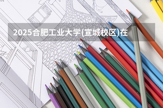 2025合肥工业大学(宣城校区)在河北招生计划人数汇总