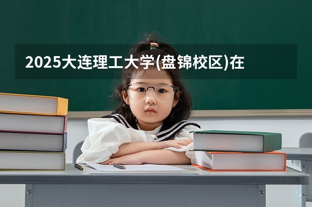 2025大连理工大学(盘锦校区)在广东招生计划人数汇总