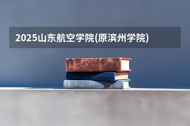 2025山东航空学院(原滨州学院)在四川招生计划人数汇总