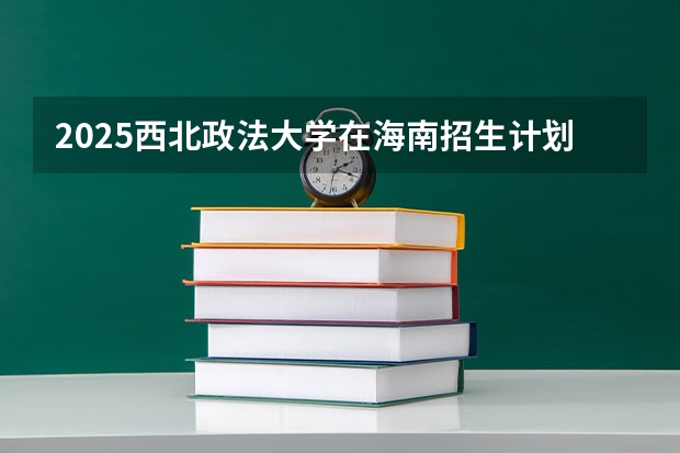 2025西北政法大学在海南招生计划人数汇总