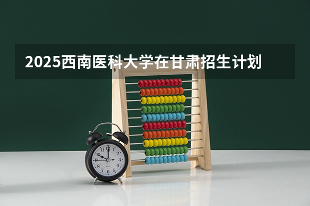 2025西南医科大学在甘肃招生计划人数汇总